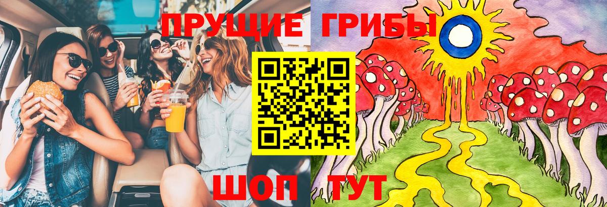 Малоярославец  Псилоцибиновые грибы MAGIC MUSHROOMS  Галлюциногенные грибы Psilocybe  Вход с VPN 